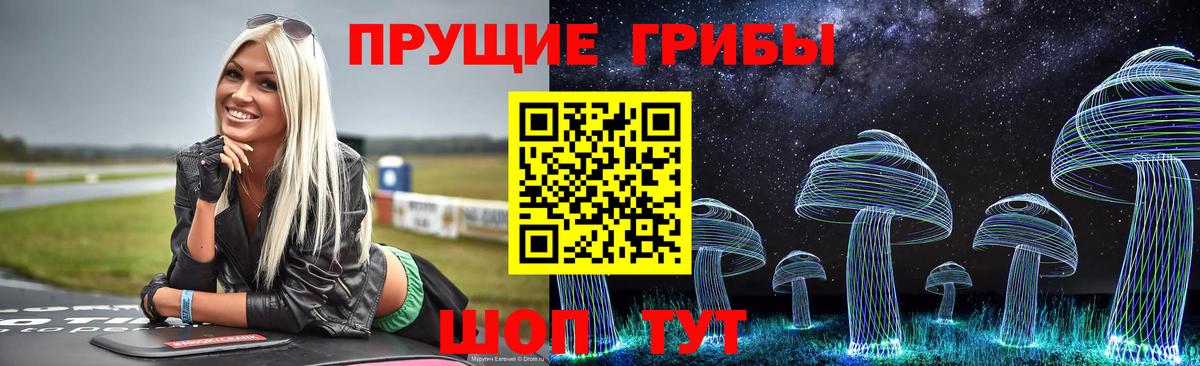 Псилоцибиновые грибы Psilocybe Малгобек